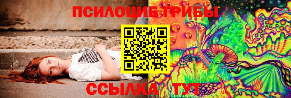 Псилоцибиновые грибы мухоморы Солнечногорск